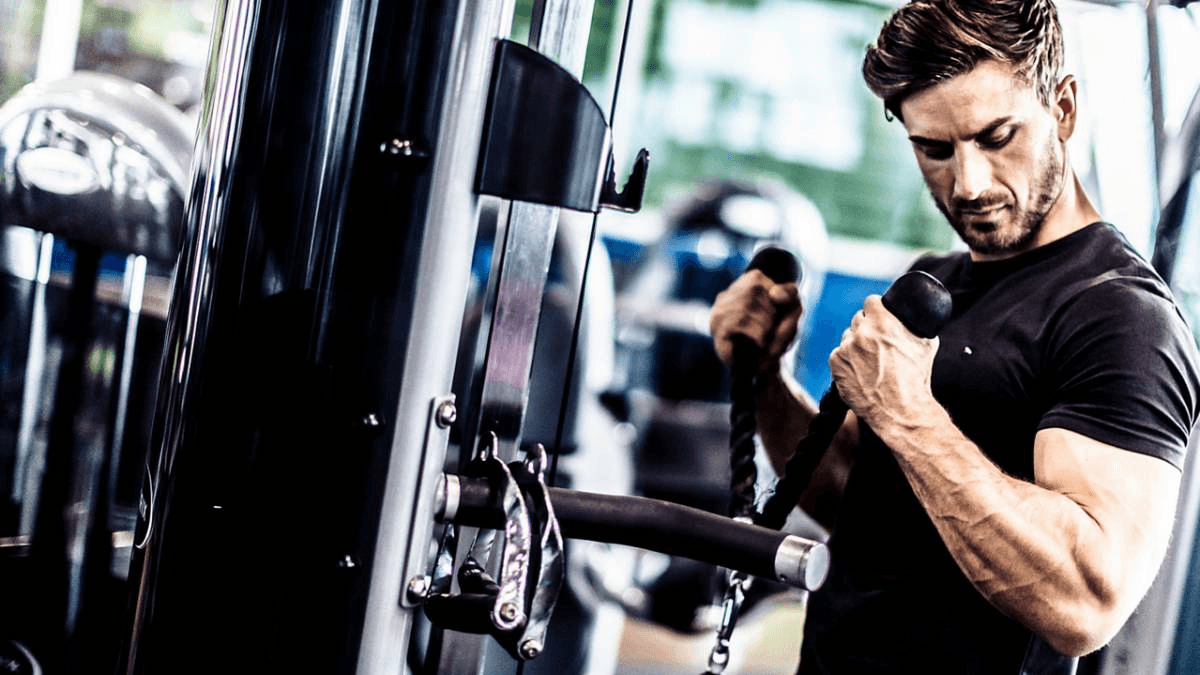 PERFROMANCE PRO 3M MUSCULACION